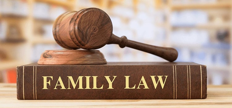 Read more about the article BROOKLYN GUARDIANSHIP LAW ATTORNEY